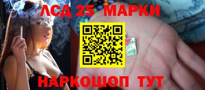 прущие грибы Апшеронск