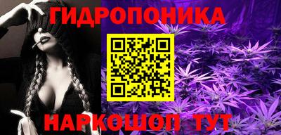 прущие грибы Апшеронск