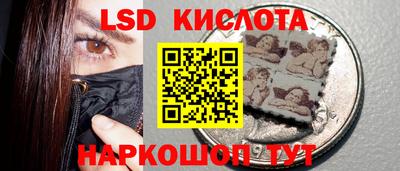 прущие грибы Апшеронск