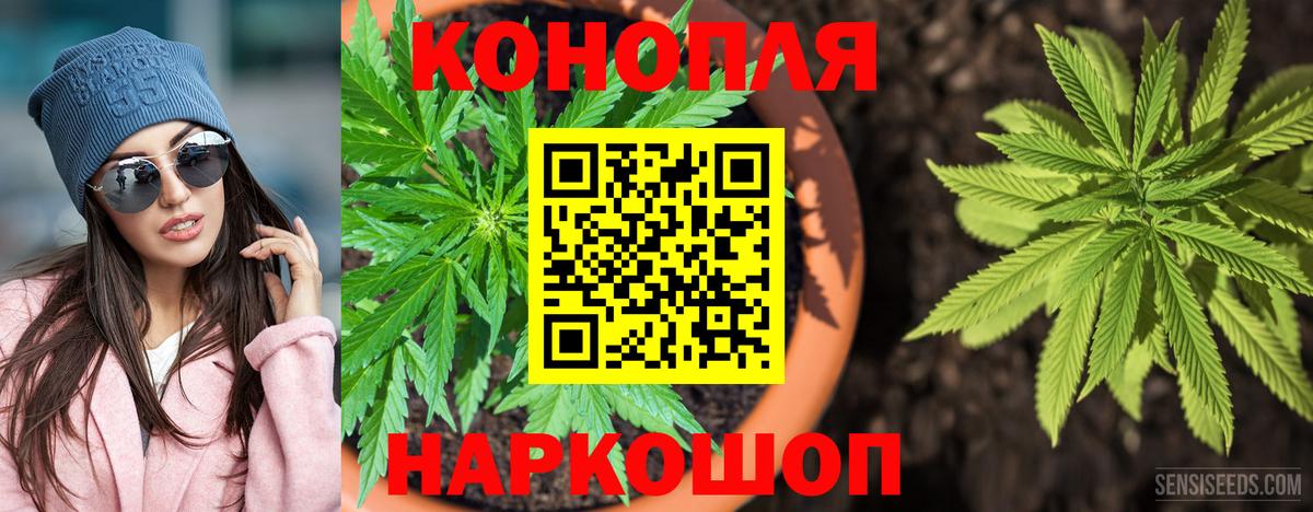 Шишки марихуана конопля  Вход с VPN  Братск  Шишки марихуана Ganja  Бошки Шишки планчик 